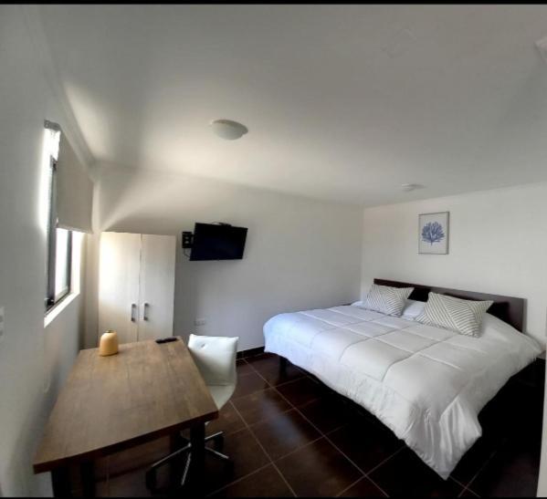 Hostal Tabancura コピアポ エクステリア 写真
